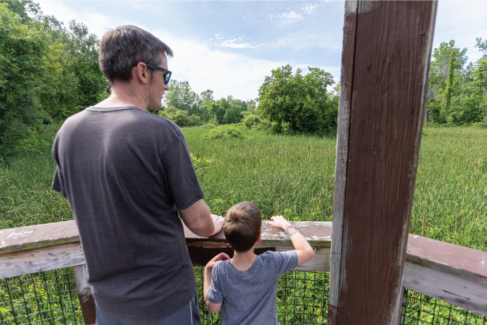 Father and son overlooking Thomas Creek Wetlands in Fairport, NY