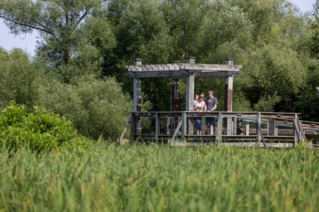 Family standing on overlook at Thomas Creek Wetlands in Fairport NY